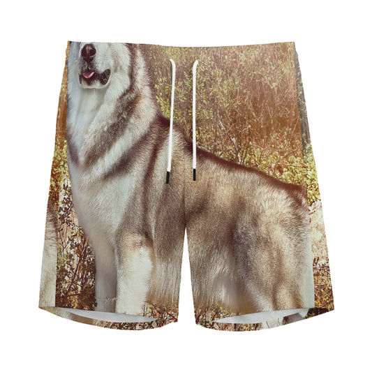 Vintage Alaskan Malamute Print Men's Sports Shorts