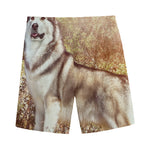 Vintage Alaskan Malamute Print Men's Sports Shorts