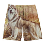Vintage Alaskan Malamute Print Men's Swim Trunks