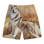 Vintage Alaskan Malamute Print Men's Swim Trunks