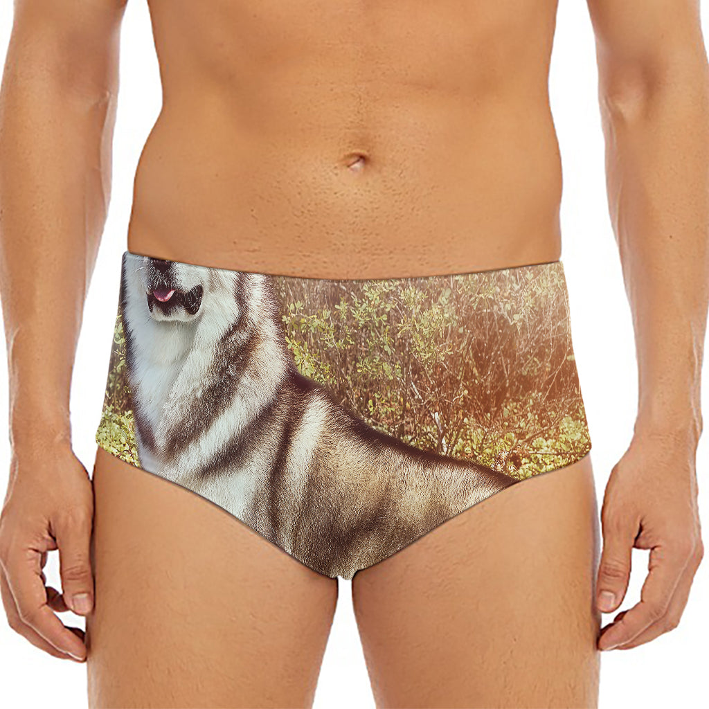 Vintage Alaskan Malamute Print Men's Triangle Swim Briefs