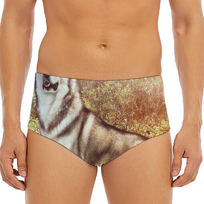 Vintage Alaskan Malamute Print Men's Triangle Swim Briefs