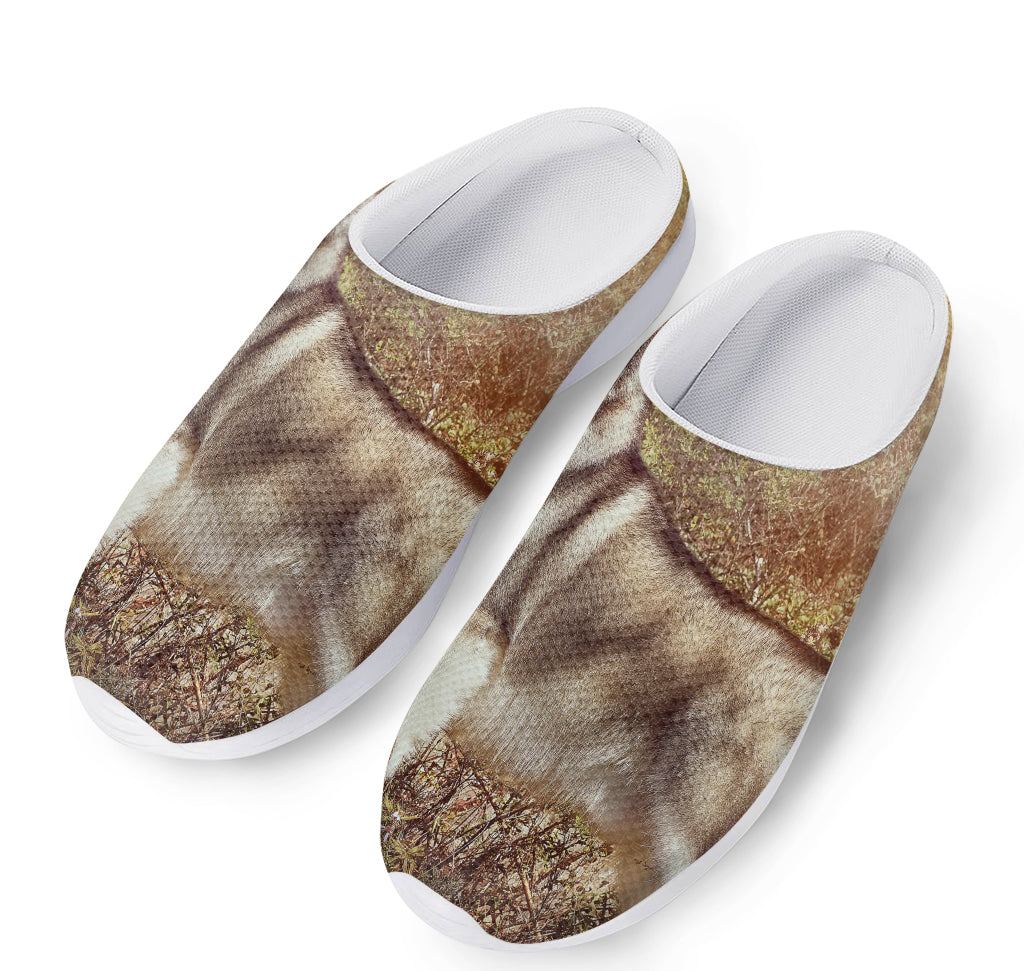 Vintage Alaskan Malamute Print Mesh Casual Shoes