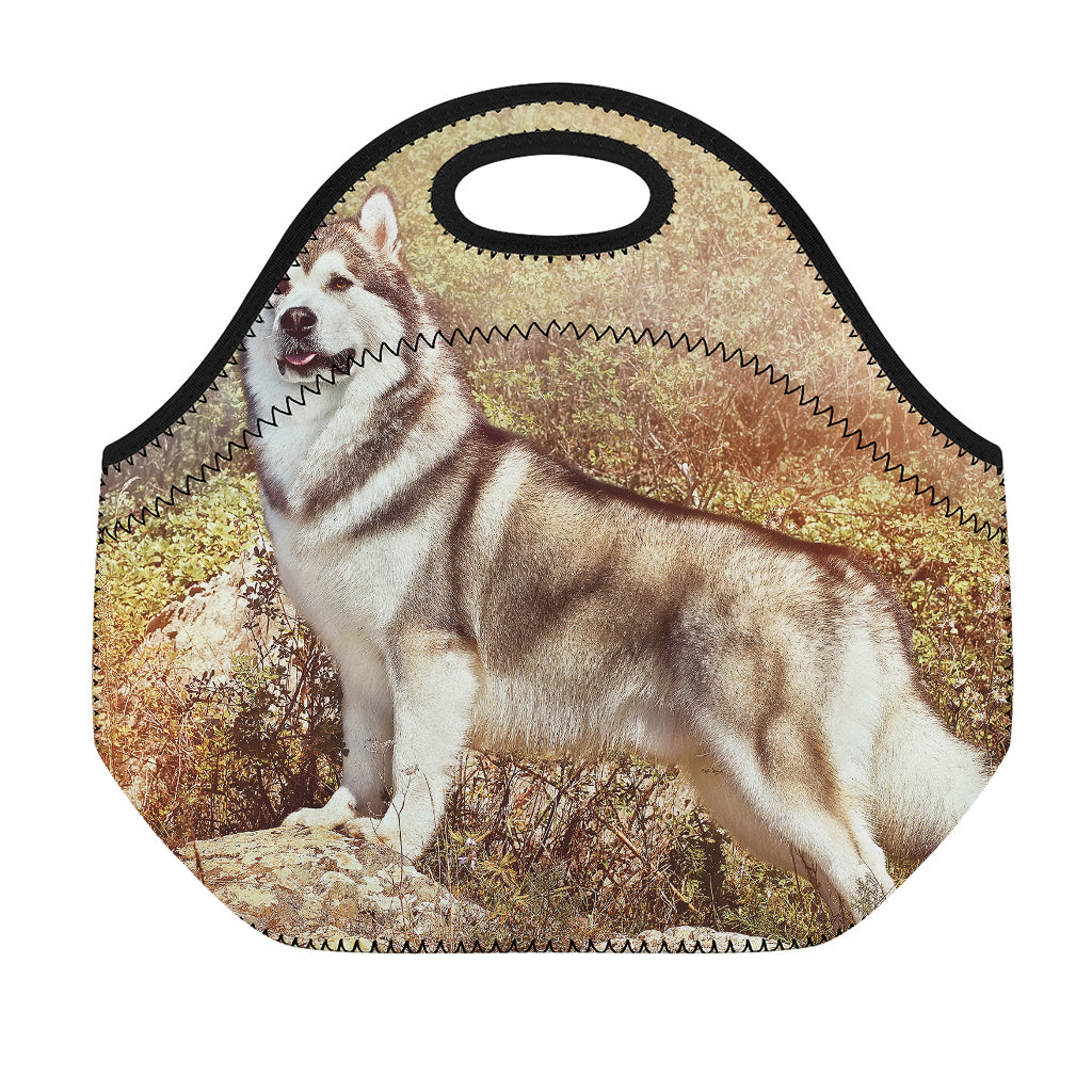 Vintage Alaskan Malamute Print Neoprene Lunch Bag