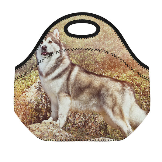 Vintage Alaskan Malamute Print Neoprene Lunch Bag