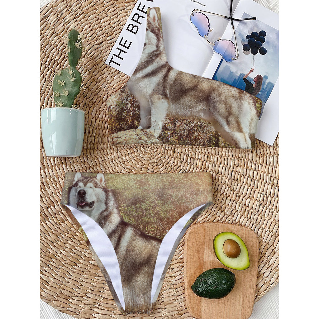 Vintage Alaskan Malamute Print One Shoulder Bikini Top