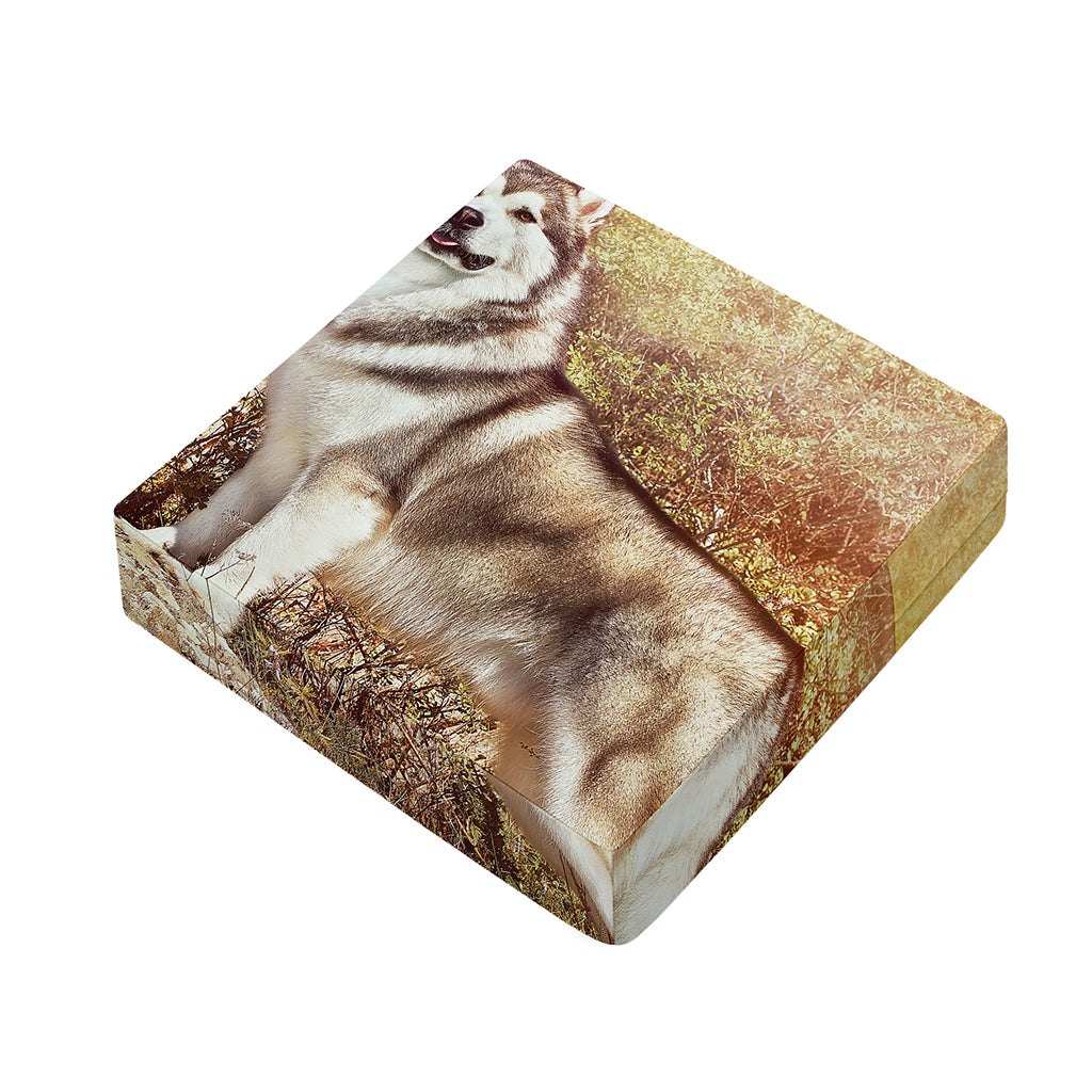 Vintage Alaskan Malamute Print Outdoor Seat Cushion Cover