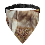 Vintage Alaskan Malamute Print Over The Collar Dog Bandana