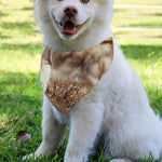 Vintage Alaskan Malamute Print Over The Collar Dog Bandana