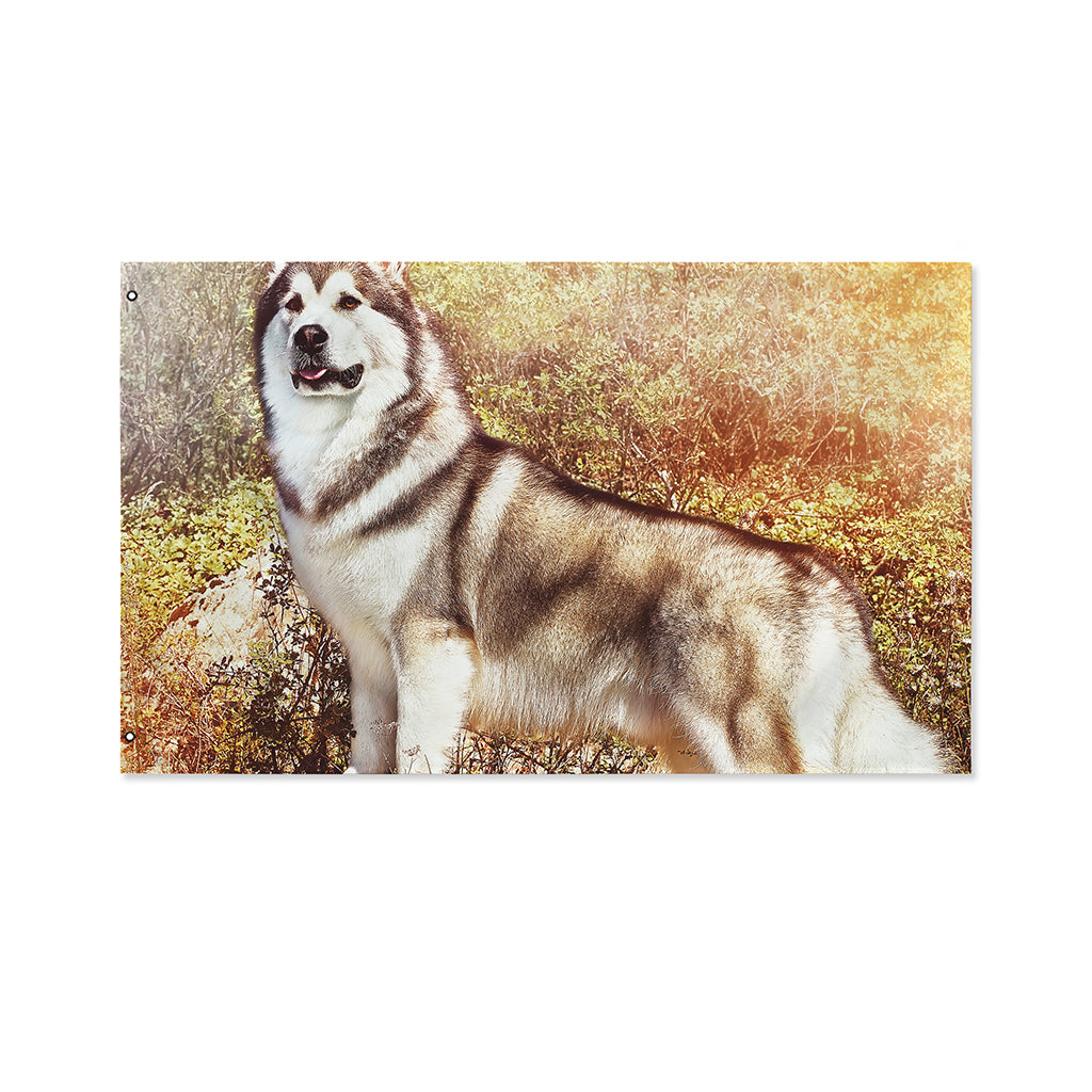 Vintage Alaskan Malamute Print Polyester Flag