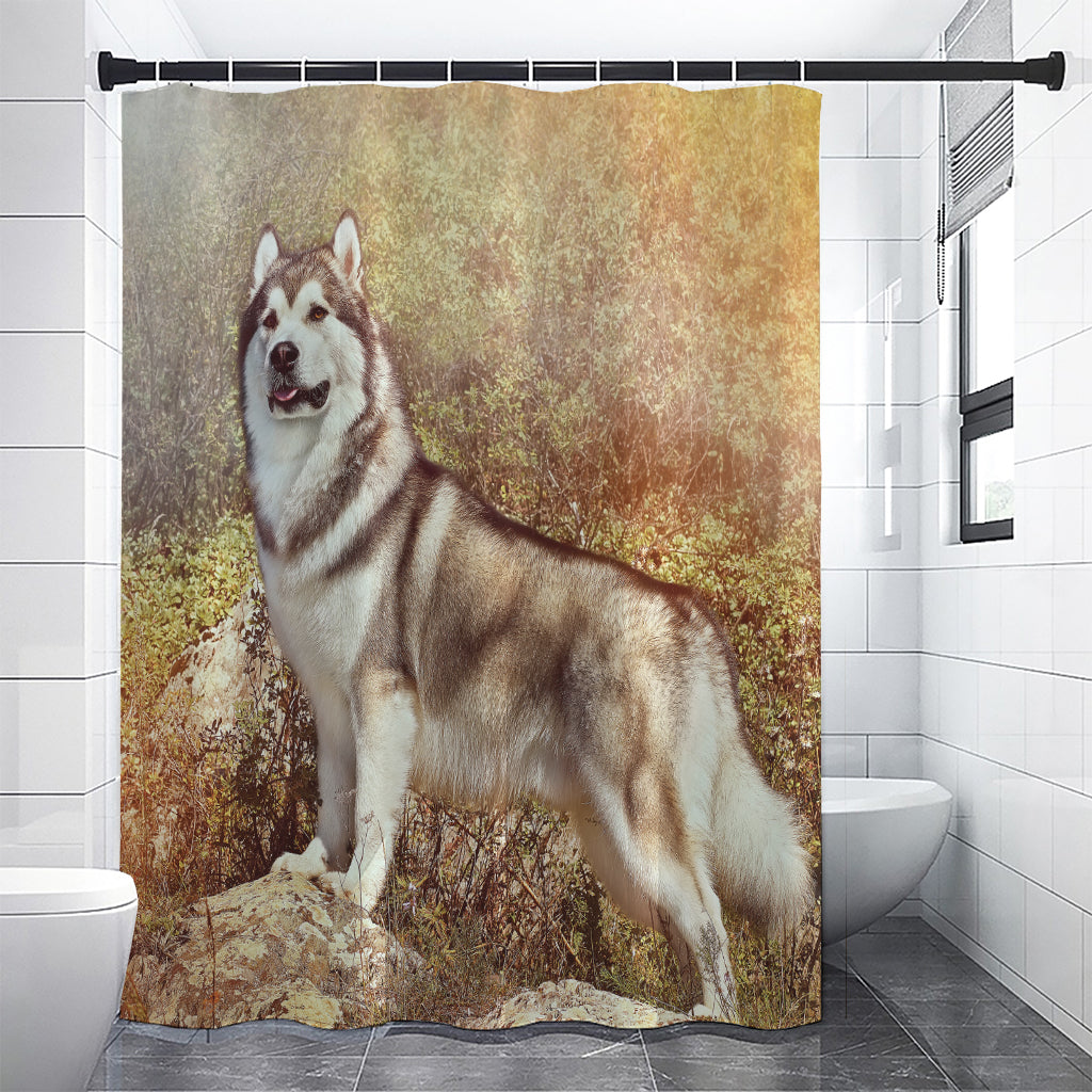 Vintage Alaskan Malamute Print Premium Shower Curtain