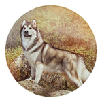 Vintage Alaskan Malamute Print Round Blanket