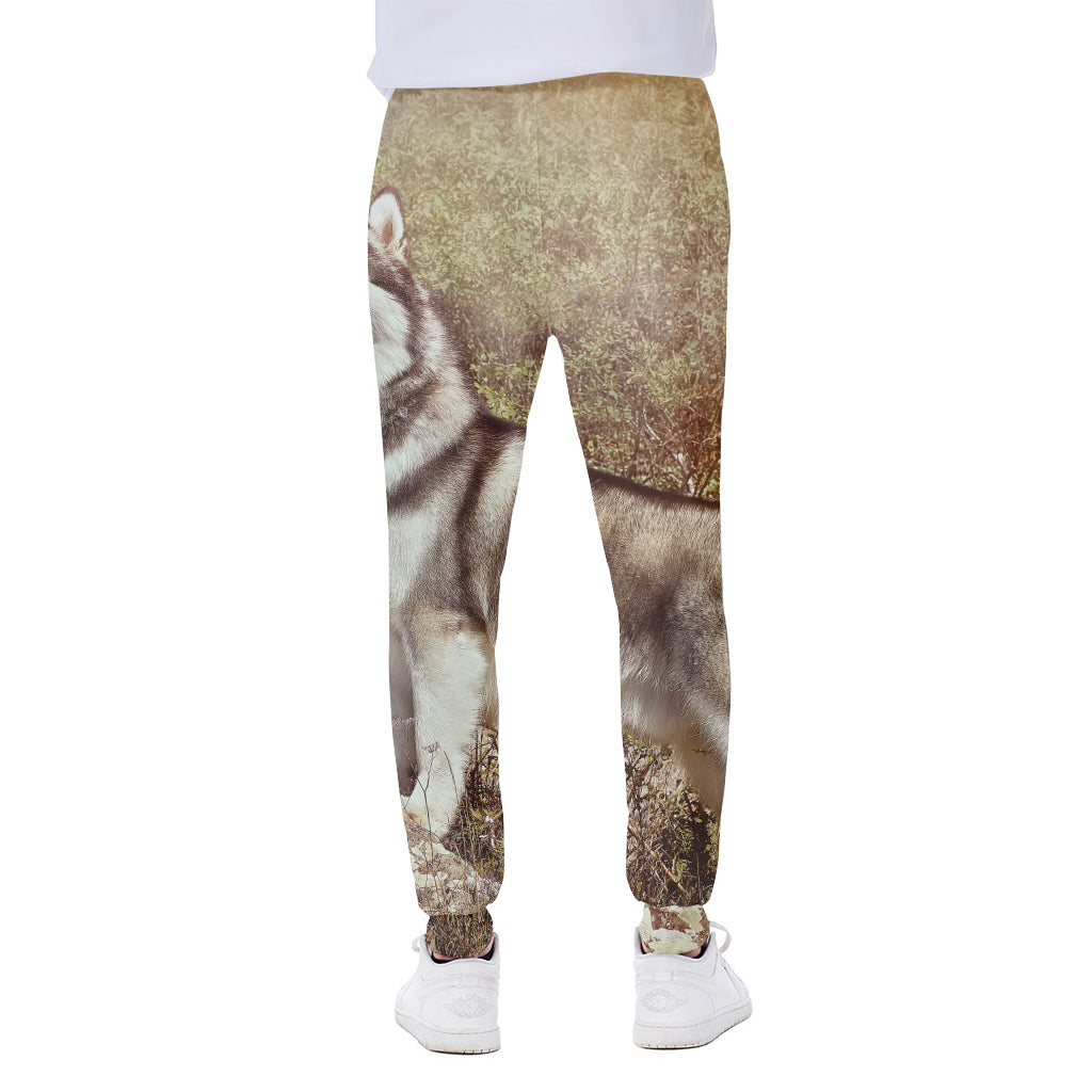 Vintage Alaskan Malamute Print Scuba Joggers