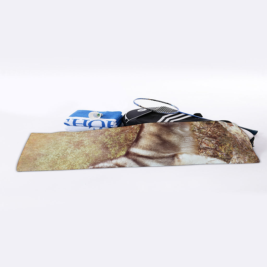 Vintage Alaskan Malamute Print Sports Towel