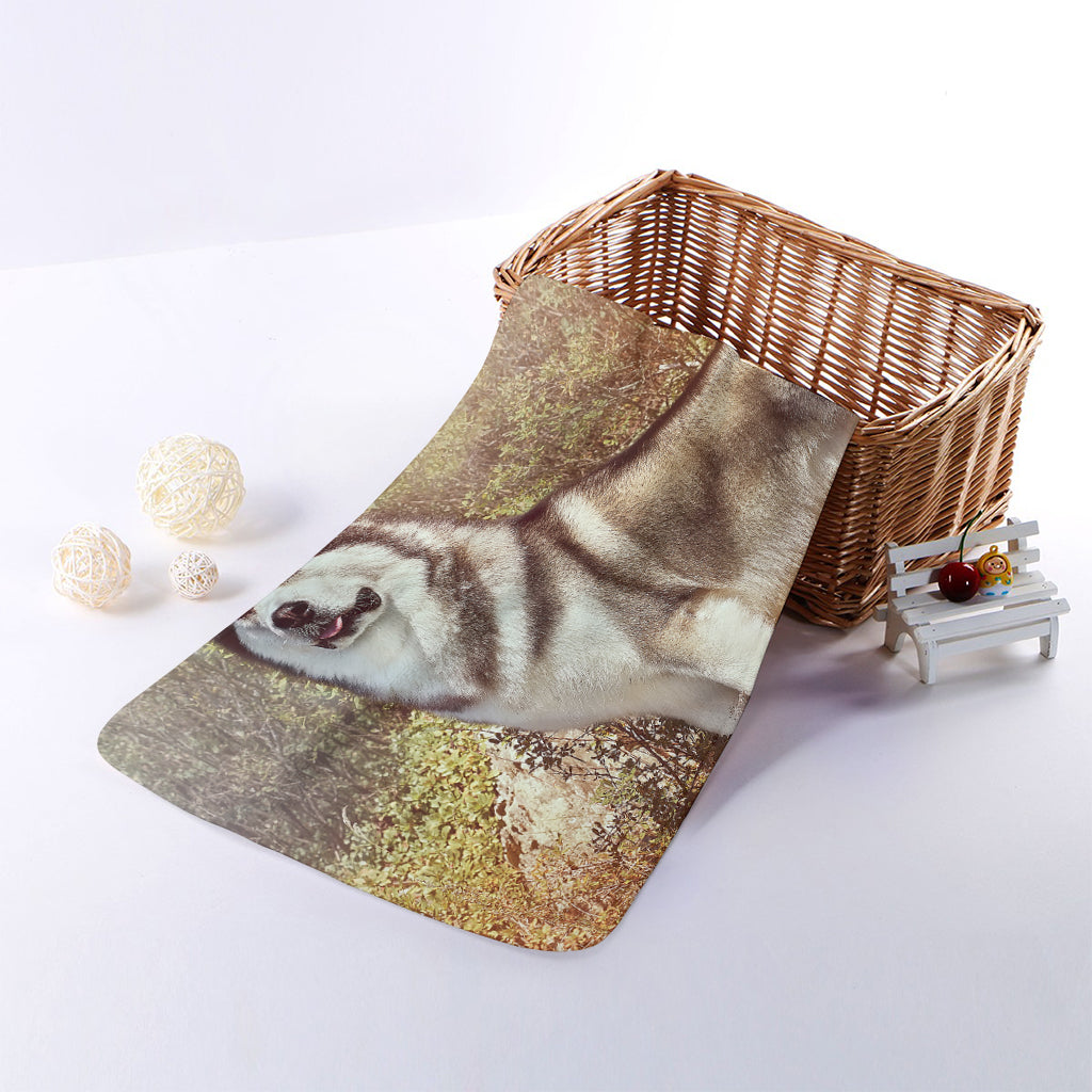 Vintage Alaskan Malamute Print Towel