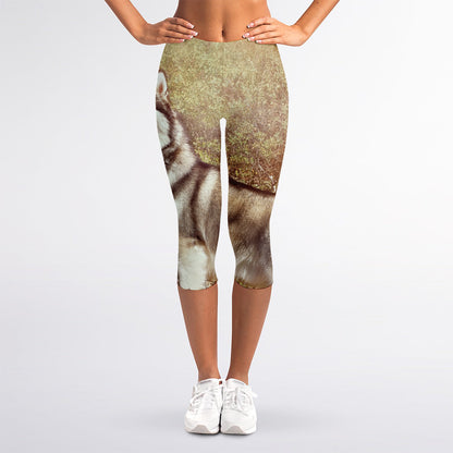 Vintage Alaskan Malamute Print Women's Capri Leggings
