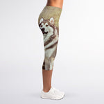 Vintage Alaskan Malamute Print Women's Capri Leggings