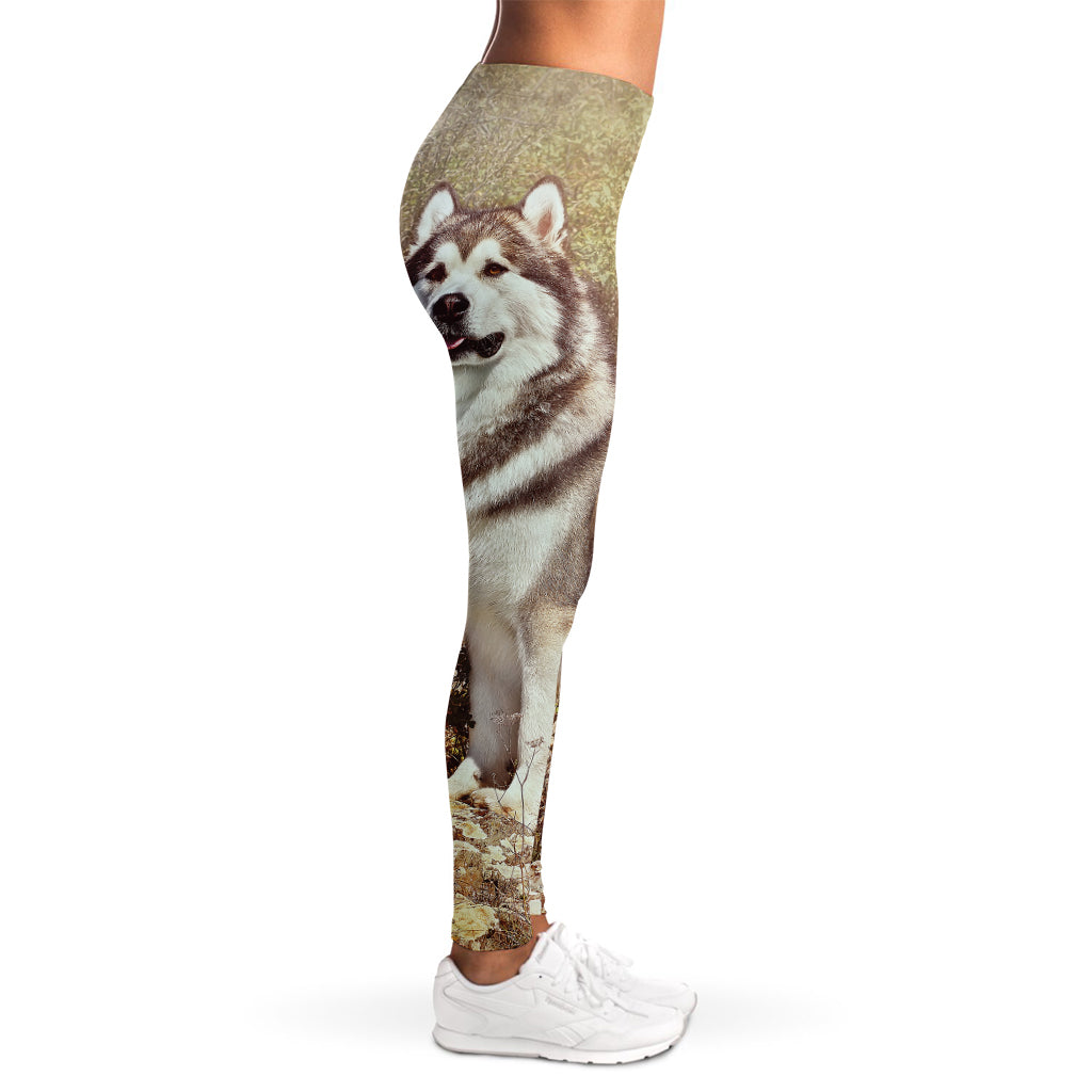 Vintage Alaskan Malamute Print Women's Leggings