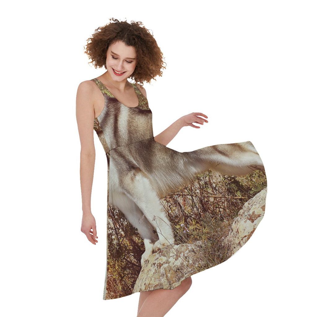 Vintage Alaskan Malamute Print Women's Sleeveless Dress