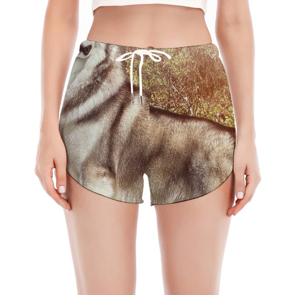 Vintage Alaskan Malamute Print Women's Split Running Shorts