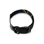 Vintage Aquarius Zodiac Sign Print Dog Collar