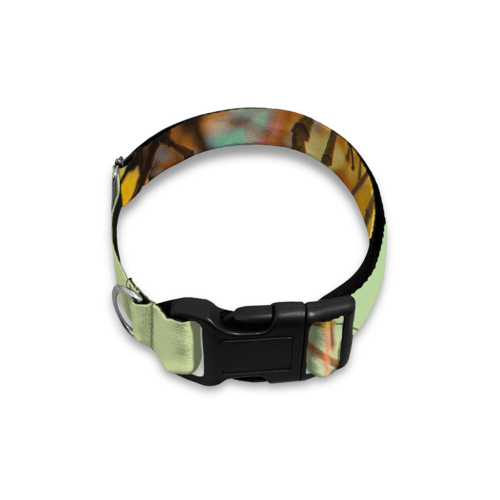 Vintage Autumn Print Dog Collar