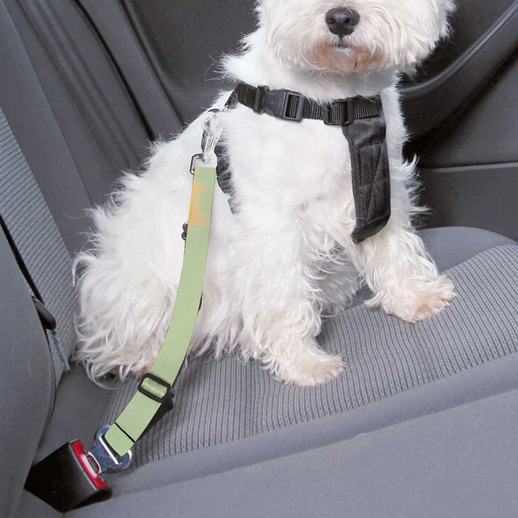 Vintage Autumn Print Dog Seat Belt