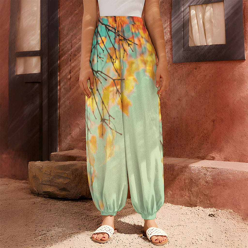 Vintage Autumn Print Harem Pants