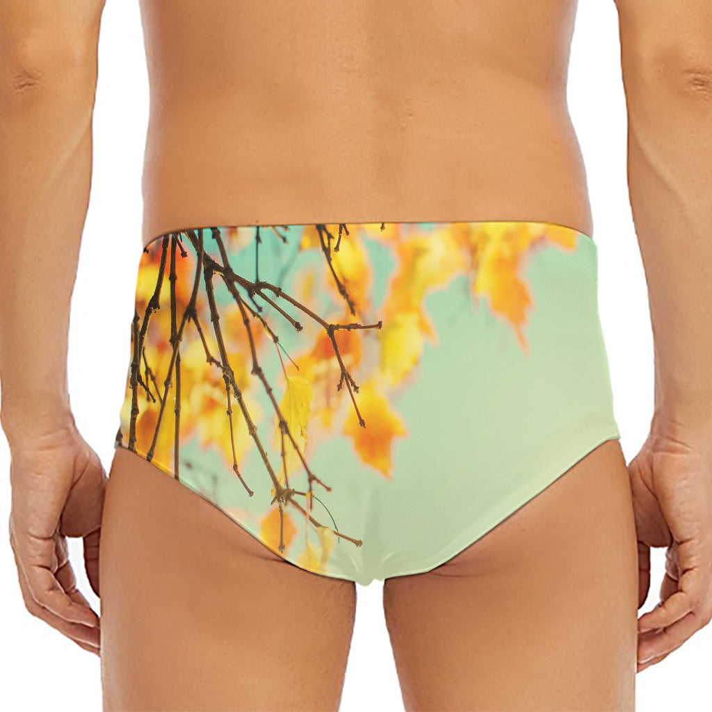 Vintage Autumn Print Men's Triangle Swim Briefs