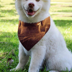 Vintage Buddha Statue Print Over The Collar Dog Bandana