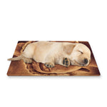 Vintage Buddha Statue Print Pet Cooling Mat Cover