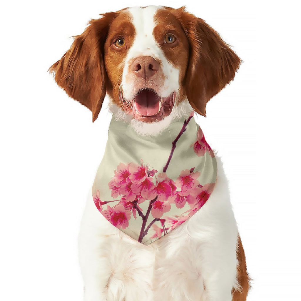 Vintage Cherry Blossom Print Dog Bandana