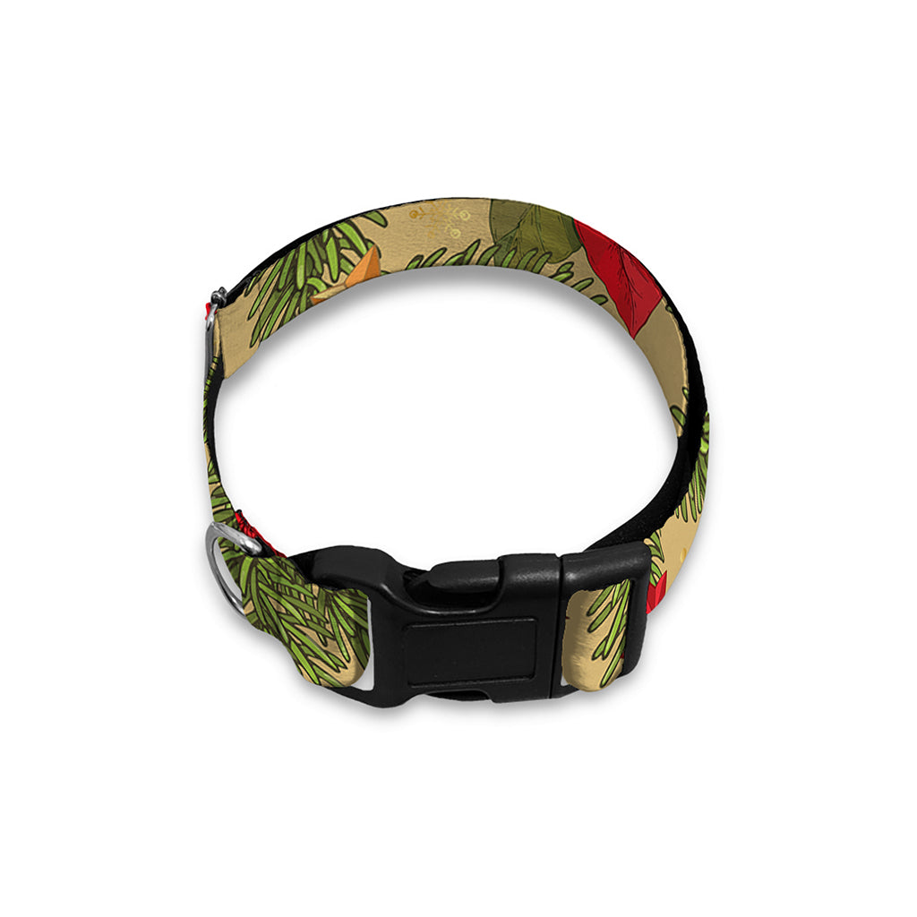 Vintage Christmas Poinsettia Print Dog Collar