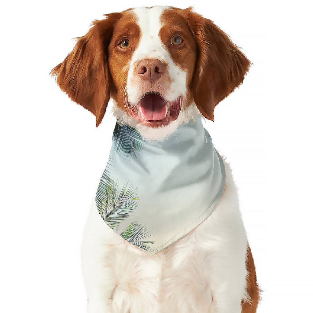 Vintage Coconut Tree Print Dog Bandana
