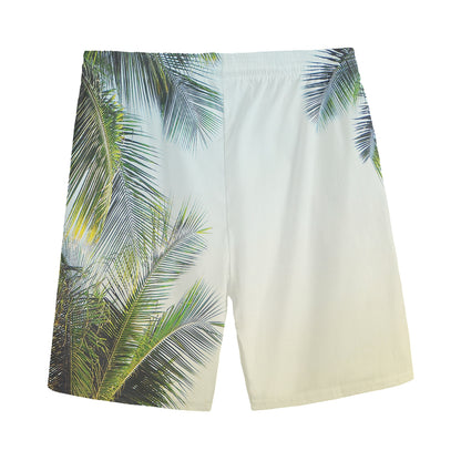 Vintage Coconut Tree Print Men's Sports Shorts
