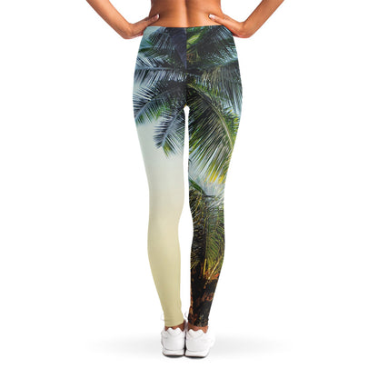 Vintage Coconut Tree Print Women's Leggings