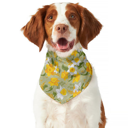 Vintage Daffodil Flower Pattern Print Dog Bandana