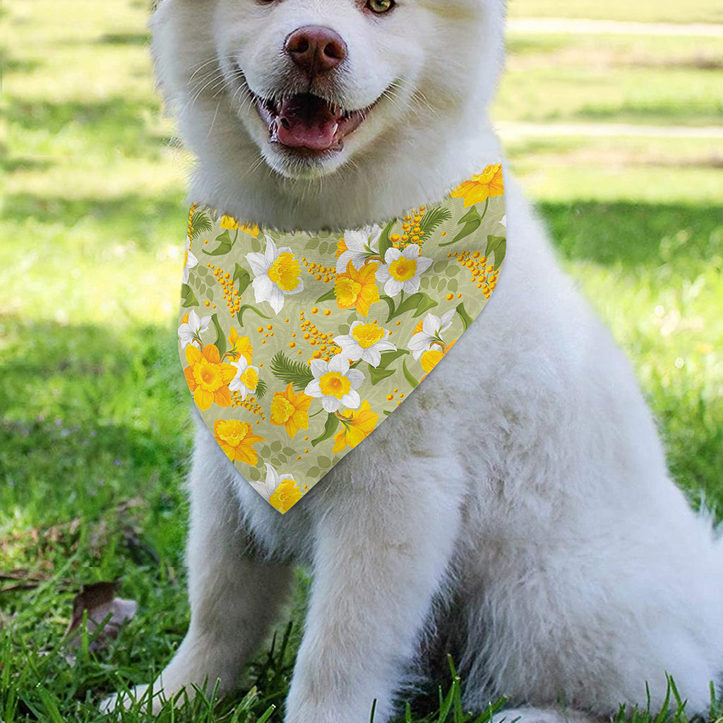 Vintage Daffodil Flower Pattern Print Over The Collar Dog Bandana