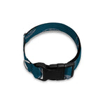 Vintage Dolphins Pattern Print Dog Collar