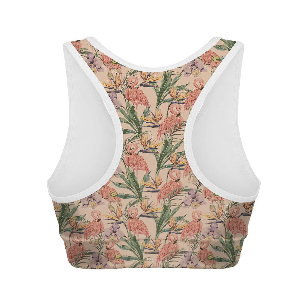 Vintage Flamingo Pattern Print Women's Sports Bra