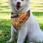 Vintage German Shepherd Portrait Print Over The Collar Dog Bandana