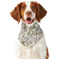 Vintage Giraffe Print Dog Bandana