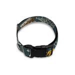 Vintage Honey Bee Print Dog Collar