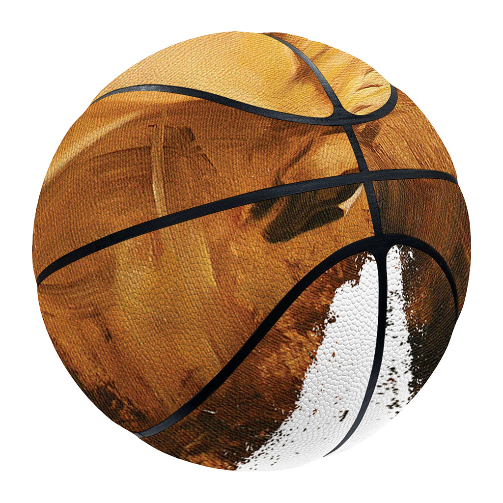 Vintage Horse Painting Print Basketball