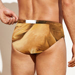 Vintage Horse Painting Print Men's Swim Briefs