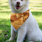 Vintage Horse Painting Print Over The Collar Dog Bandana