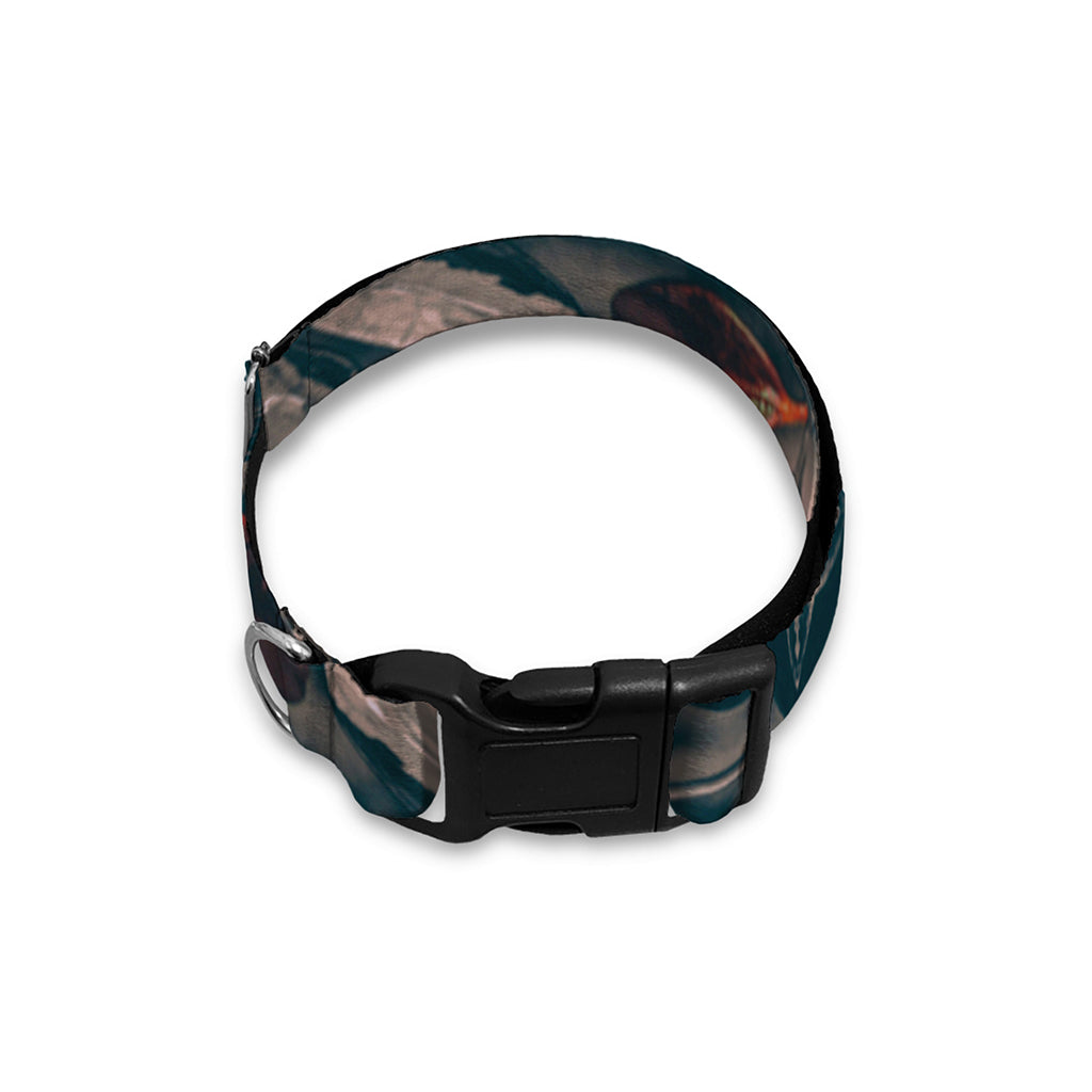Vintage Kaleidoscope Print Dog Collar