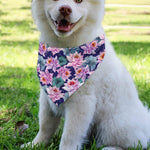 Vintage Lotus Flower Print Over The Collar Dog Bandana