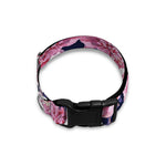 Vintage Pink Peony Floral Print Dog Collar