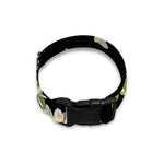 Vintage Plumeria Flower Pattern Print Dog Collar